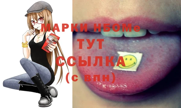 гидра Гатчина